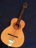 Acoustic Guitar