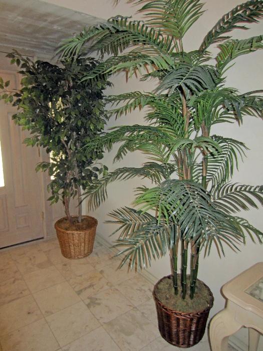 Large selection of silk trees