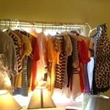 Short sleeves sweaters and shirts