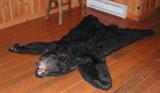 Black Bear Skin Rug
