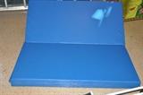 Exercise/gymnastics floor mat