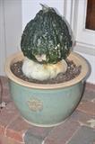 Another pair of outdoor planters