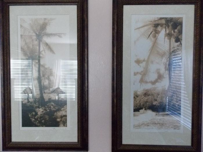 (2) Framed pictures of palm trees