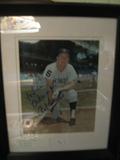 signed Al Kaline