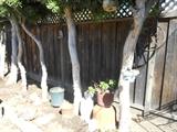 Garden Pots, Hanging Plants, Wheel on the Fence, Fence Statue