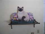 Decorative Siamese Cat Wall Hanging on a Metal Ledge