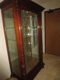 BEAUTIFUL LIGHTED DISPLAY CASE