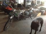 1968 schwinn twinn
