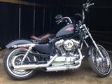 2013 Harley Davidson Sportster