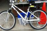 Gary Fisher Shimano brake bike