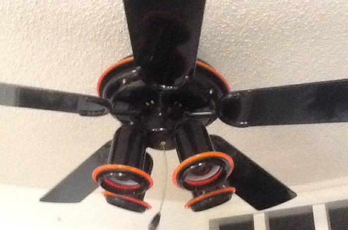 Fun black and orange ceiling fan!