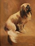 Lot 1147:  FULTON, Samuel (Scottish, 1855-1941): Pekinese Dog, Oil/Canvas, 18'' x 14'', signed lower right, pierce carved and gilded frame 26'' x 22''. Est. $1000/2000**
