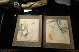 HAND DRAWN ORIENTAL WATERCOLORS