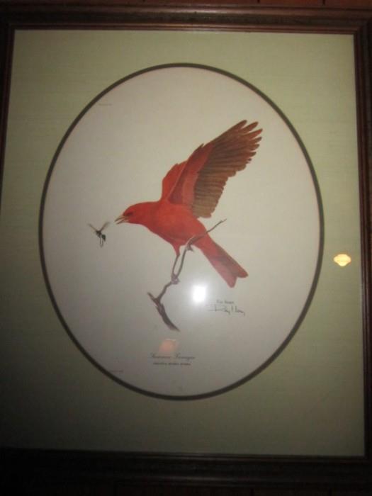 Ray Harm Summer Tanager print