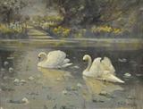 Oil on Canvas Painting of Swans in Lake by A.E. Bailey.