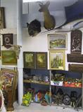 Wide-Angle Photo of Shelf Items, Artwork & Fish & Game Trophies.