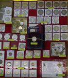 Wide-Angle Photo of Coins.