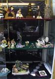 Wide-Angle Photo of Showcase Items.