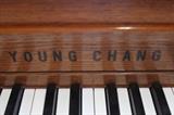 G54#16 Young Chang 1988 Studio Upright Piano Oak Condition of 8-9 #1326554
