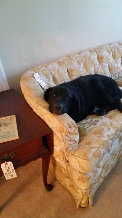 Jake says "hello" to everyone !!