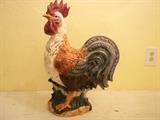rooster