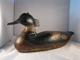 Merganser circa 1900 - tag number 150