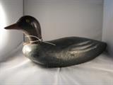Hen Merganser Arthur LeBlanc - tag number 161