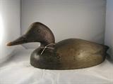 Canvasback Drake by Charles Reeves -tag number 145