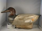 JC  Daley circa 1920 - Canvasback - stamped Sam Barnes - tag number 157