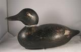 Restored Bluebill to a White Wing Scoter circa 1910 - tag number 59