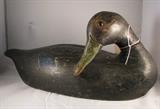 Black Duck by John McAnney circa 1890-1900 - tag number 64