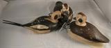 Trio of Contemporary Old Squaw - White Headed Mallard - tag number 102