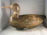 Black Duck Susquehanna - Premier Back Bay Model -  circa 1910 - tag number 36