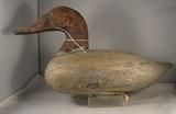 Canvasback Drake by Victor Horne circa 1945 - tag number 211