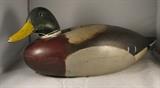 Mallard Drake by C. Wells of Connecticut - tag number 100
