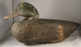 Blackhead Teal Duck circa 1900 - tag number 101