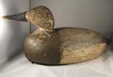 Canvasback Drake circa 1940 - tag number 126