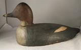Goldeneye Hen by Daniel Stevens circa 1950 - tag number 129