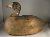 Coot by Frank Strey circa 1900 -tag  number 179