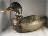 Mallard Drake by W.E. Pratt circa 1924 - tag number 169