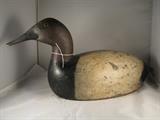 Long Body Canvasback Drake by Hank Canton circa 1910 - tag number 175