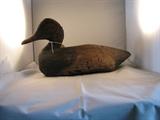 Drake Decoy -  tag number 82