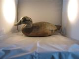 Widgeon Drake by Mitchell circa 1930 - tag number 229