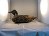 Redeye Mallard - tag number 108