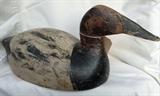 Canvasback drake 1934 - tag # 206