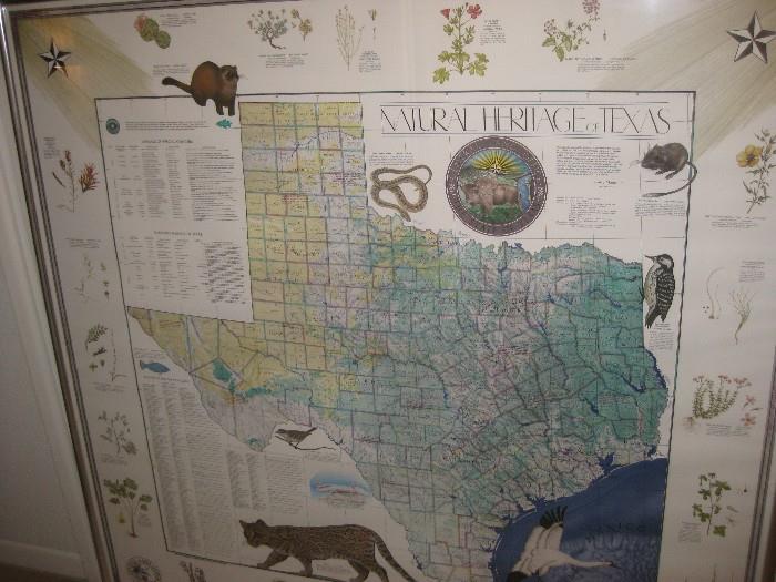 HUGE Texas Map, framed