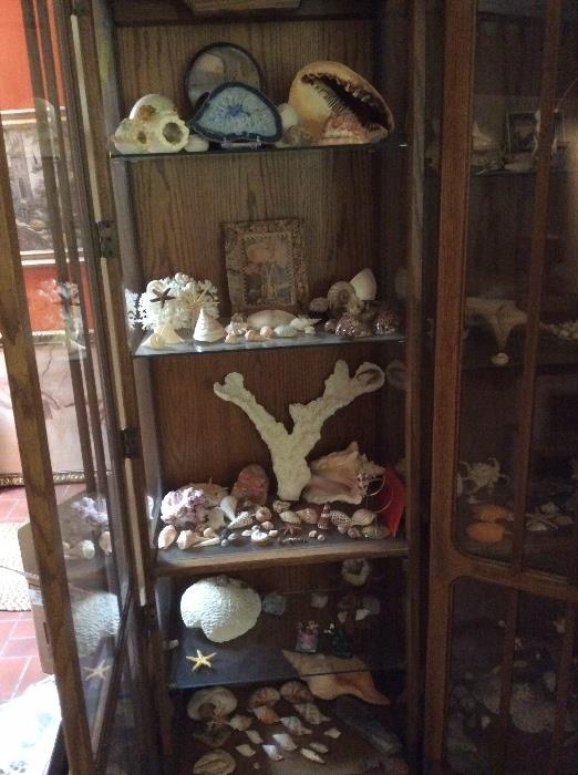 Shell Collection (cabinet NFS)