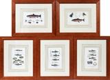 Lot#2150, BRITISH HAND COLORED ENGRAVINGS, C. 1801, 5, H 9", W 5 1/2", FISHING LURES, HOOKS, ETC.Five pieces.  Published by Bunny & Gold, London.  Framed.