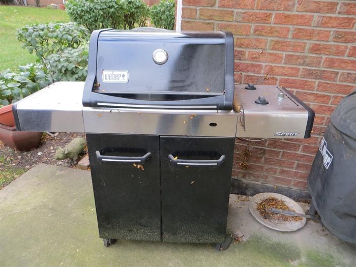 Weber gas grill and charcoal grill