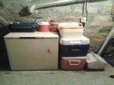 Coolers & deep freeze